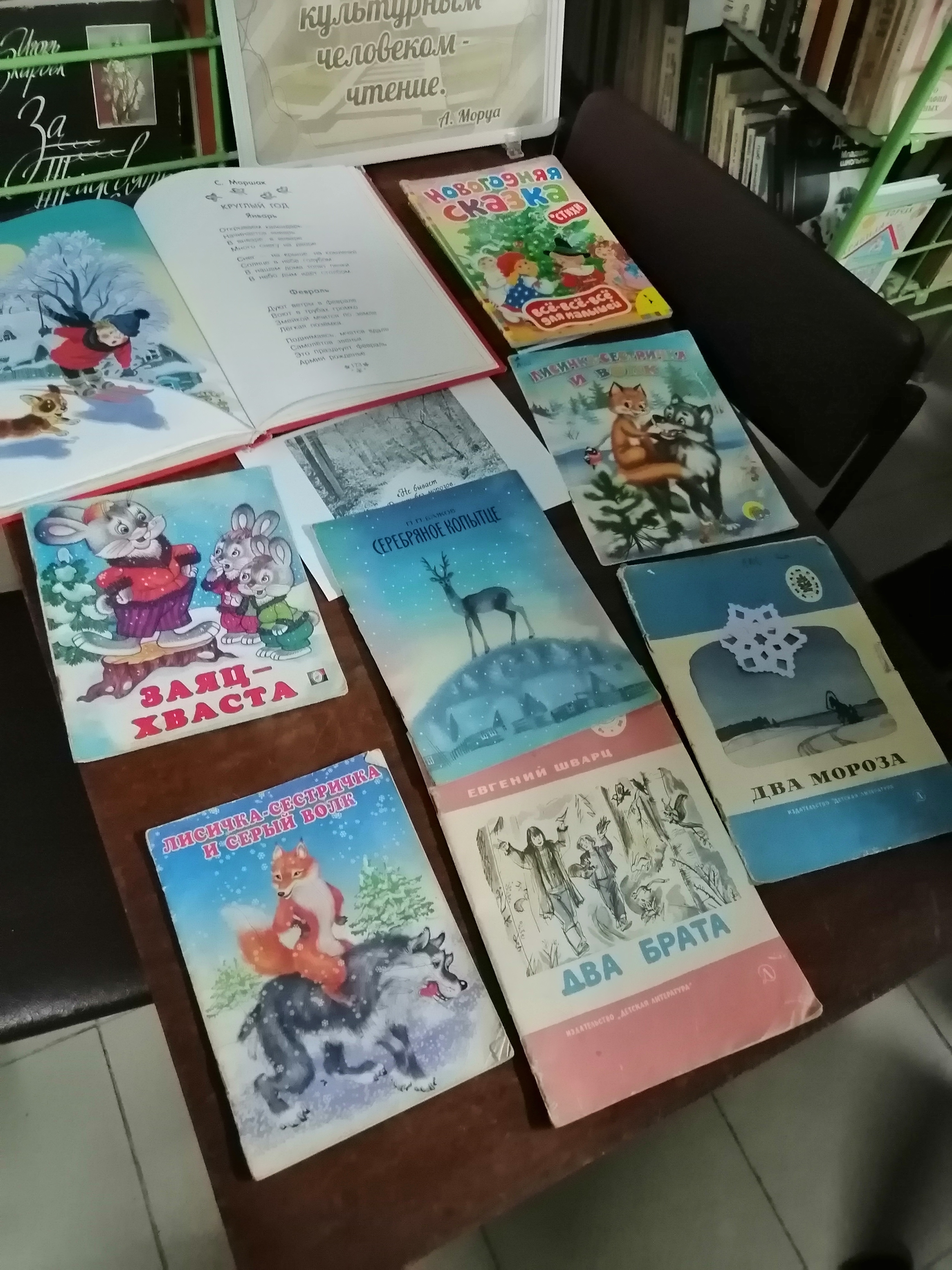 Выставка книг о зиме.